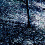 Orchard_E100_P800_T_a.jpg