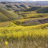 Ektar 100 Color Negative Film, 120 5-Pack